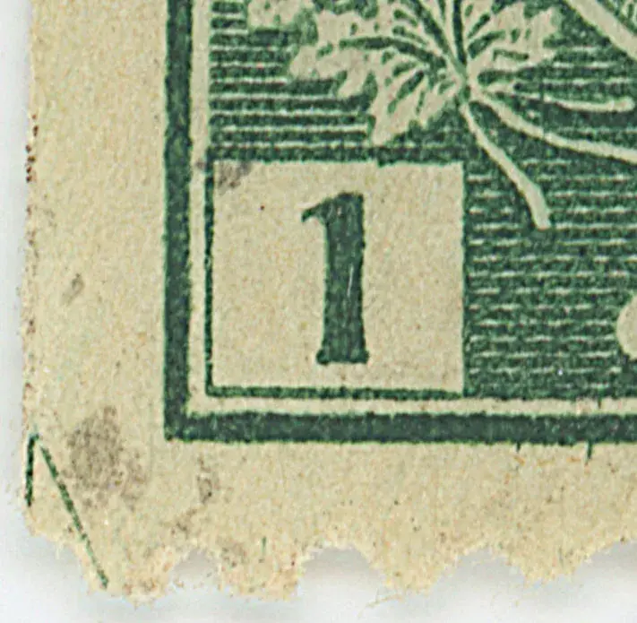 1¢G 86LR91 Qcu.webp